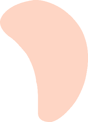 shape 1.1